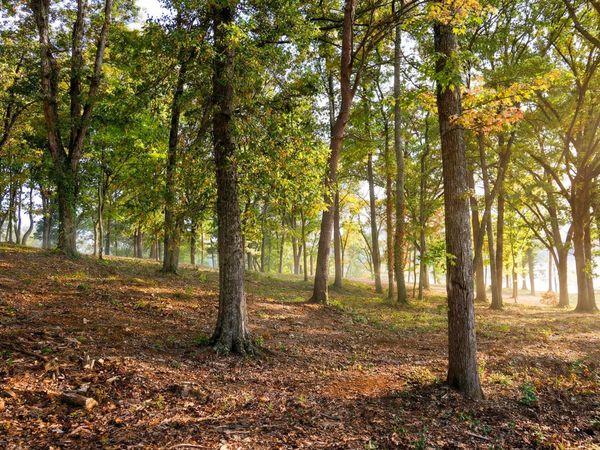 1054 Riverbank Ridge, Chattanooga, TN 37415