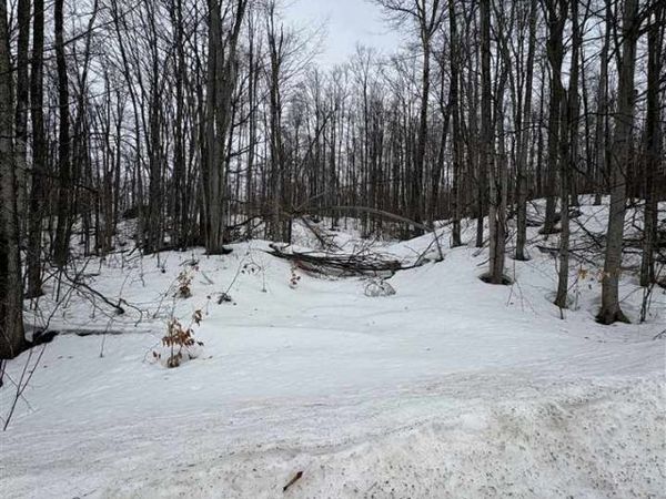 319 Beaux Rivages Drive, Harbor Springs, MI 49740