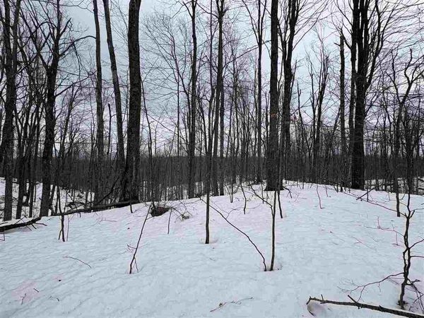 393 Beaux Rivages Drive, Harbor Springs, MI 49740