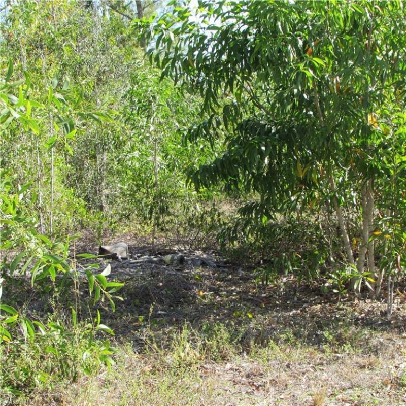 7757 Breakwater Ct, Bokeelia, FL 33922 Photo