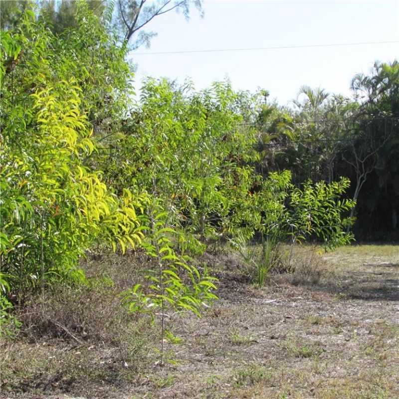 7757 Breakwater Ct, Bokeelia, FL 33922 Photo