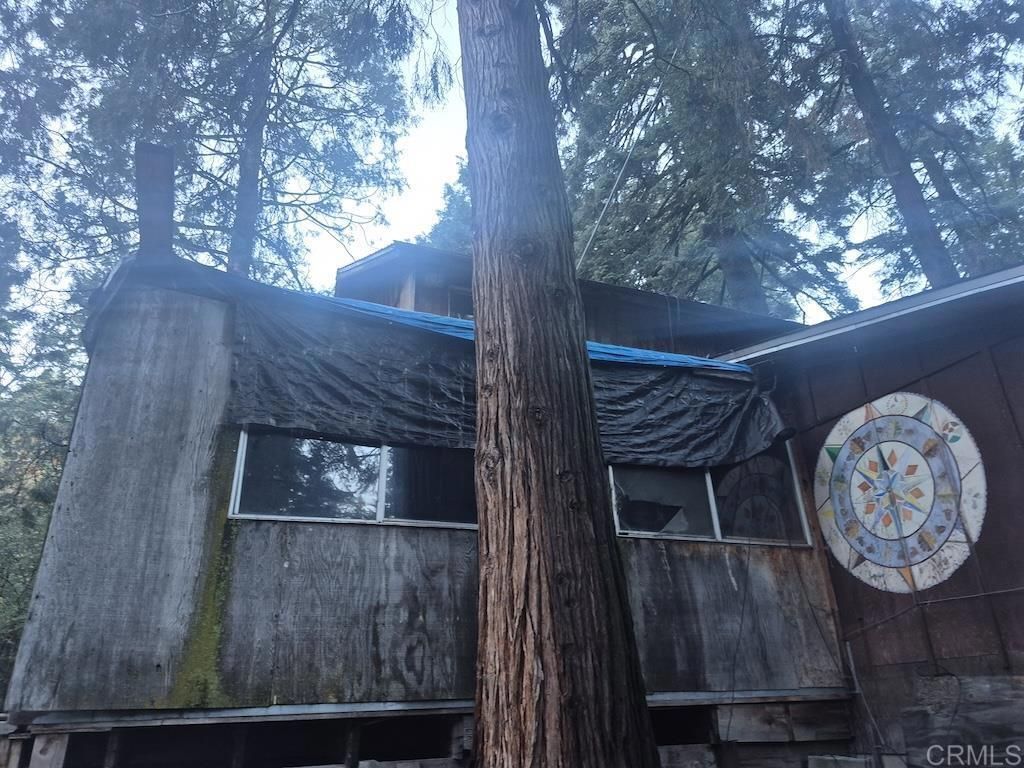 22021 Crestline Road, Palomar Mountain, CA 92060 Main Photo