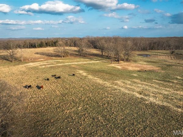 72 +/- acres County Road 8490, Newburg, MO 65550