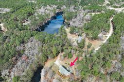 141 Woodstork Way  photo 4