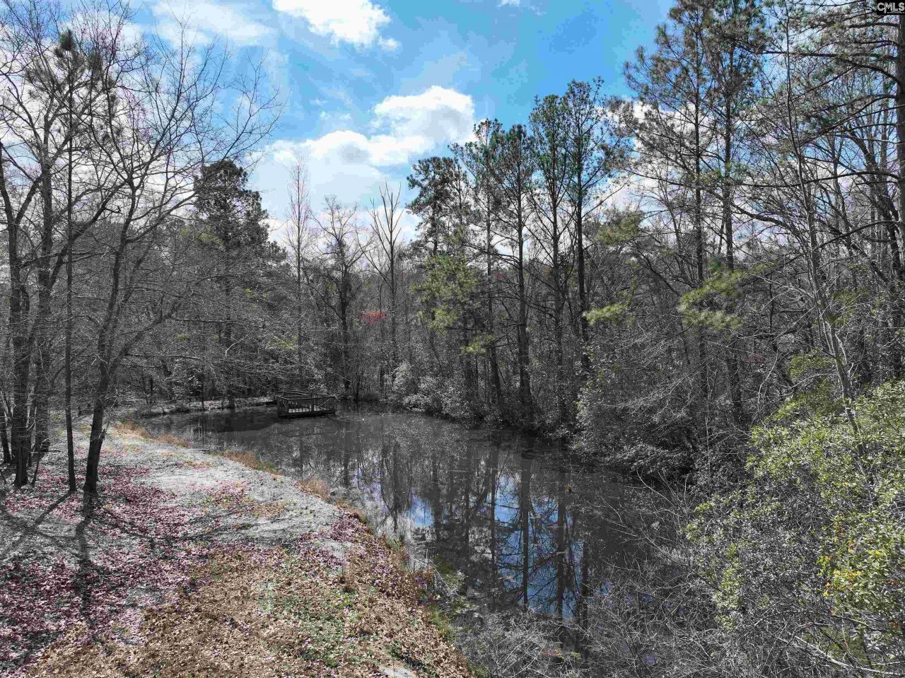 141 Woodstork Way  Photo 45