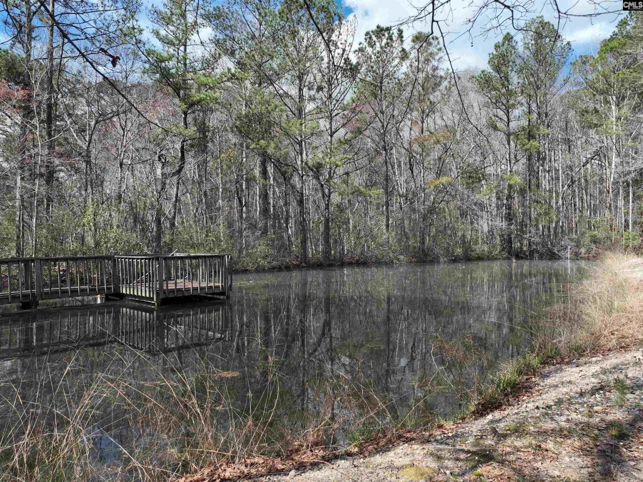 141 Woodstork Way  Photo 48