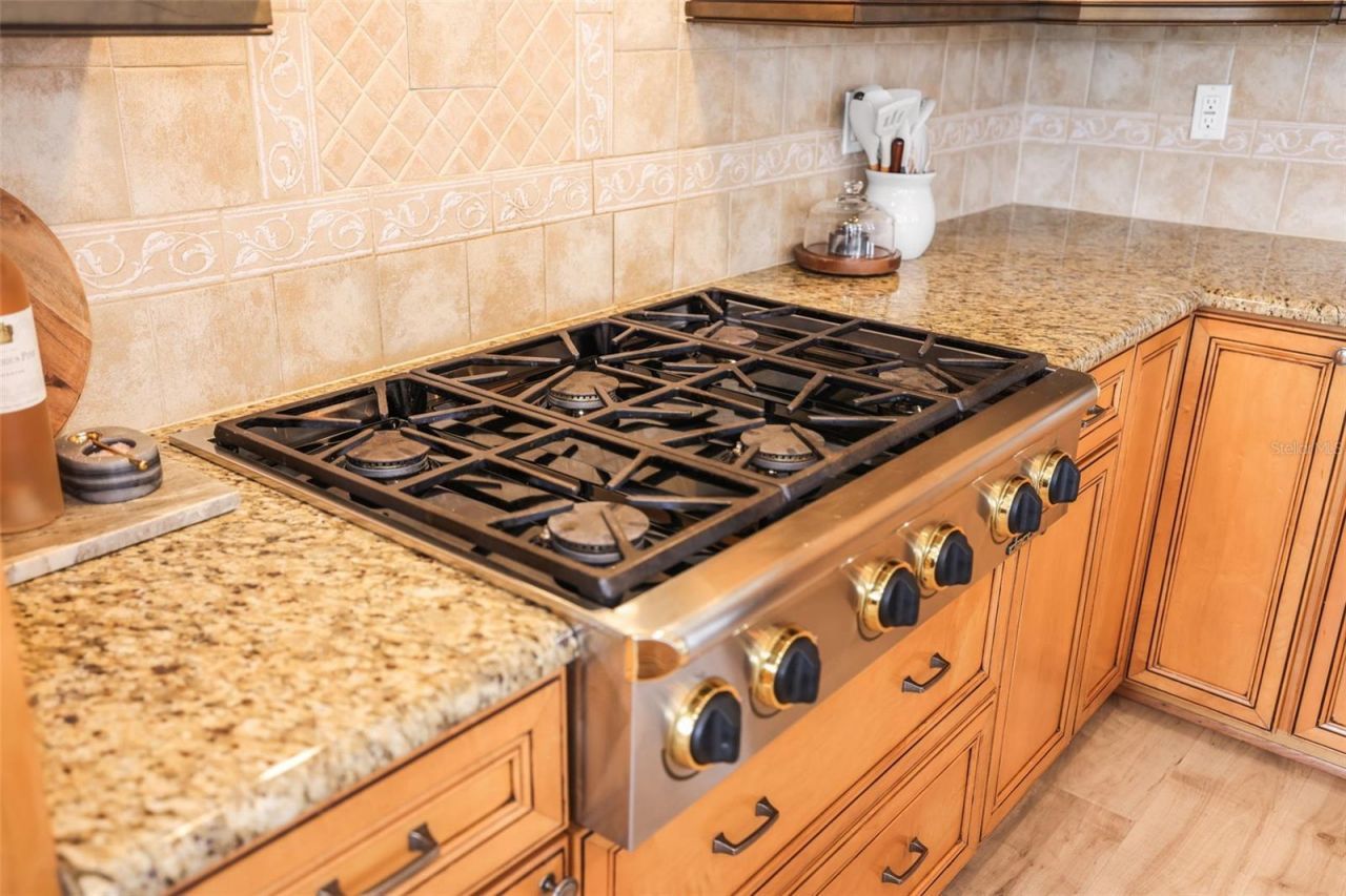 207 Manatee Lane, Tarpon Springs, FL 34689 Photo