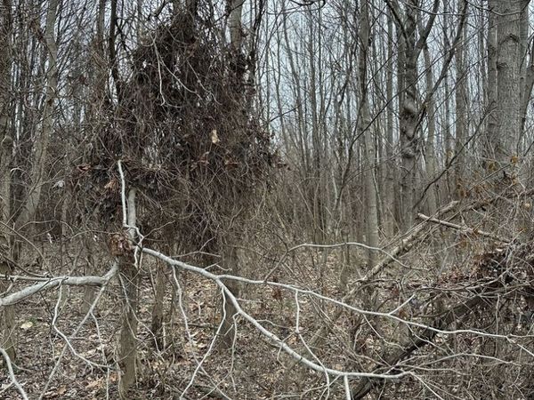 Lot 1 Pecan Road , Duquoin, IL 62832