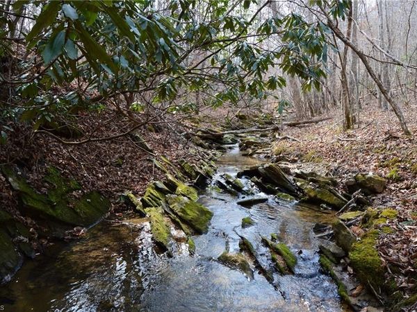 1284-1516 Tom Mix Road , Unit 95.93 +/- , Westfield, NC 27053