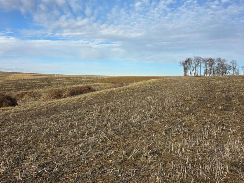 0 State Route 22 Road NW, Unit Sheridan E, Somerset, OH 43783 Photo 19