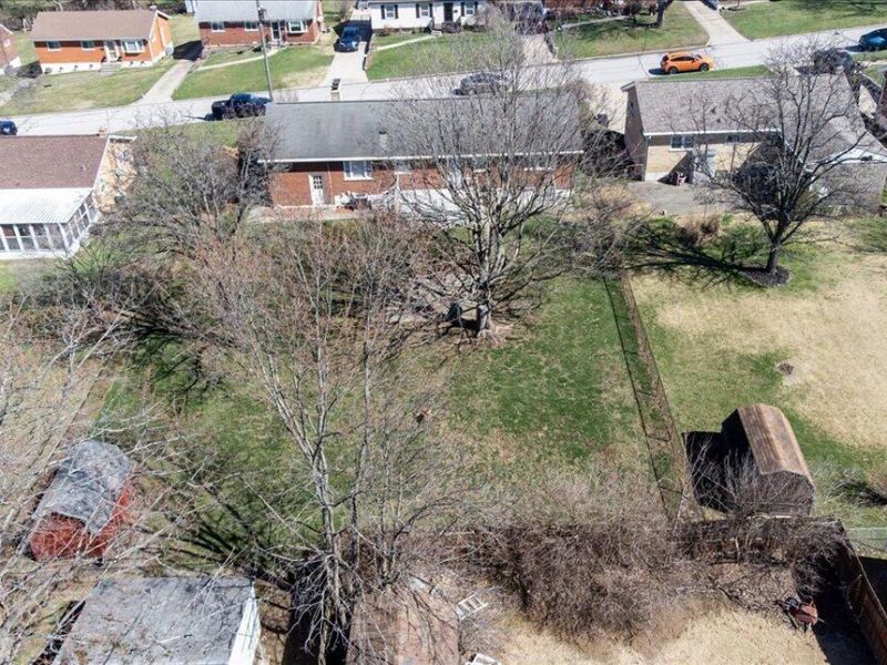 6 Ann Street, Florence, KY 41042 Photo 3