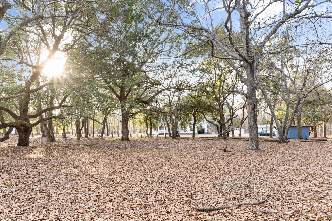 138 Sunnyvale Court Photo 3