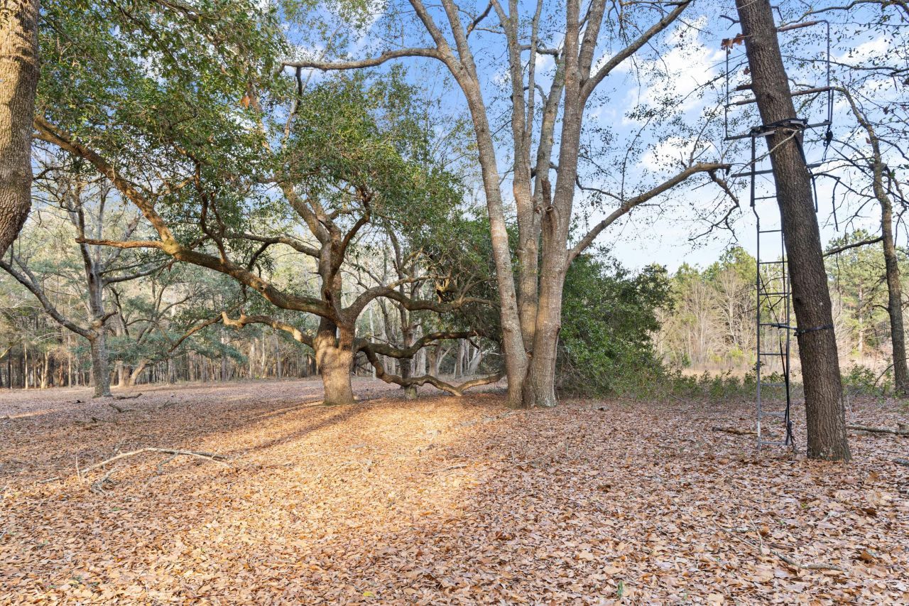 138 Sunnyvale Court Photo 5