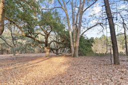 138 Sunnyvale Court photo 4