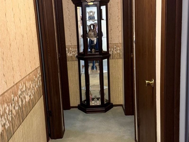 220 Bantam Ridge Court, Wintersville, OH 43953 Photo 16