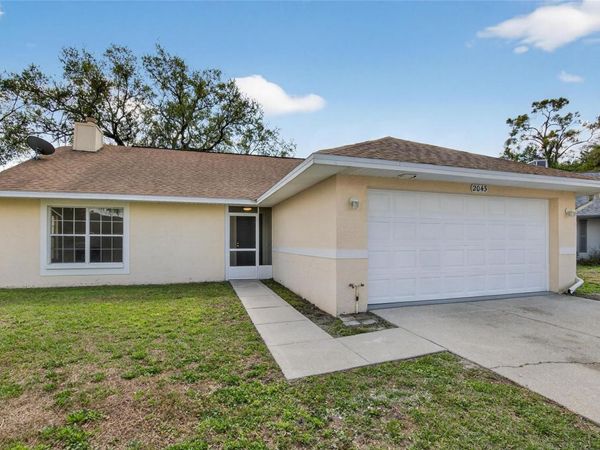 2043 SHADOW PINE DRIVE , BRANDON, FL 33511