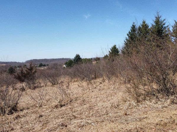 L615 Rhine Drive, La Valle, WI 53941