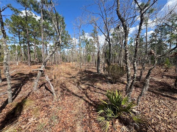 143 QUAIL WAY , HAWTHORNE, FL 32640