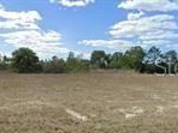 1916 NE 33RD LANE , CAPE CORAL, FL 33909