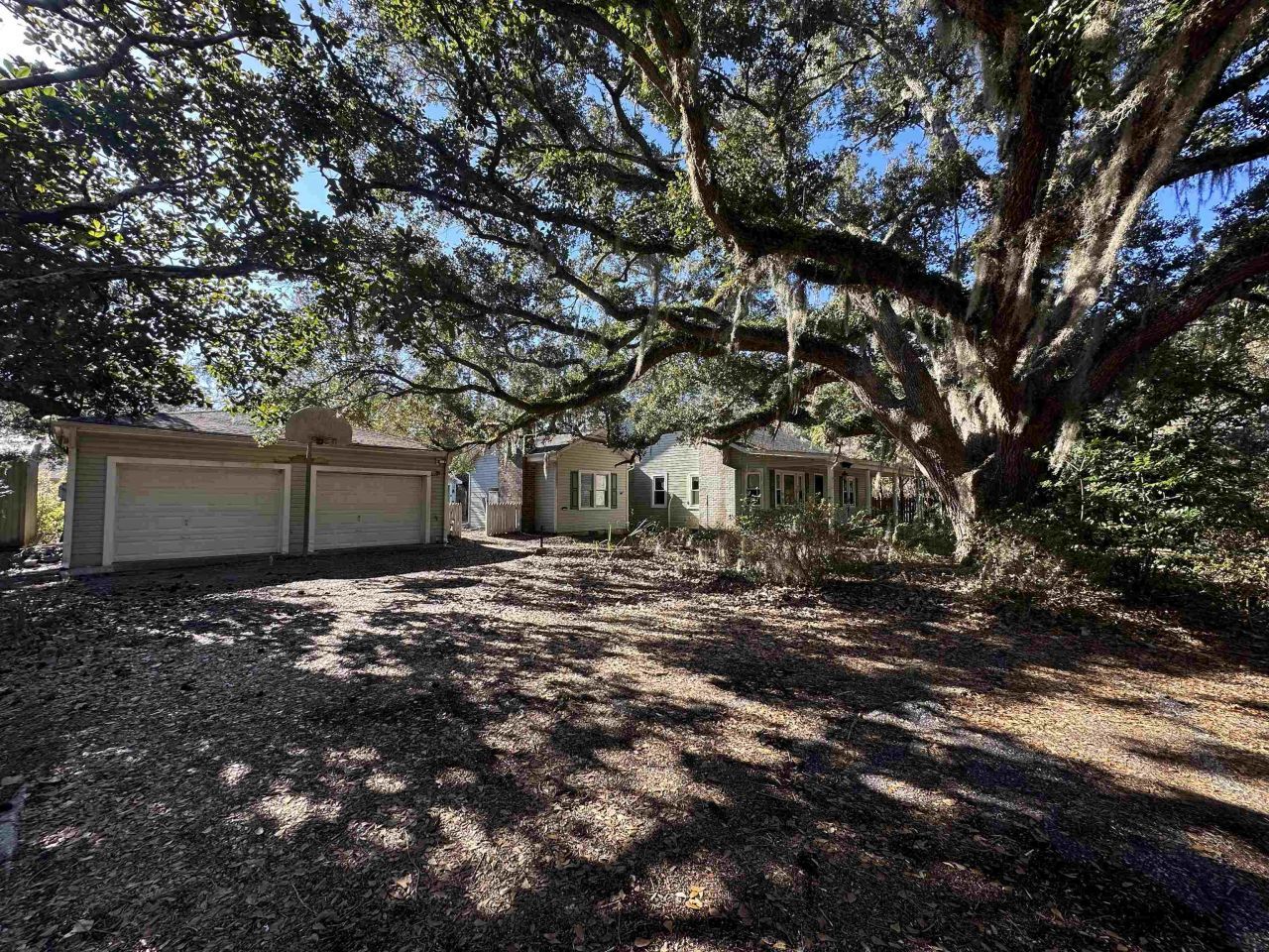 402 Wilkinson St. Photo 33