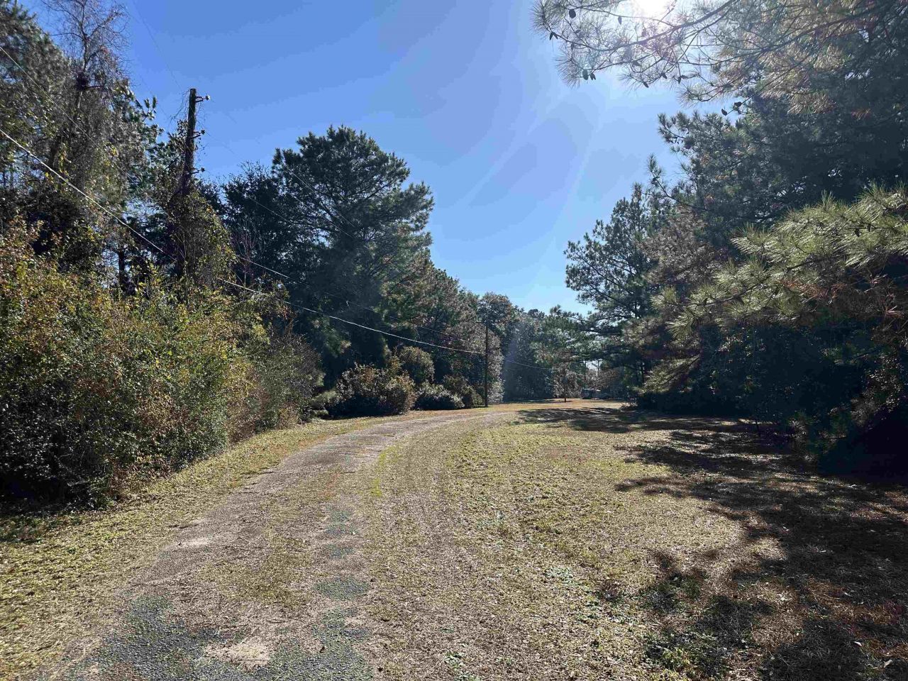 402 Wilkinson St. Photo 34