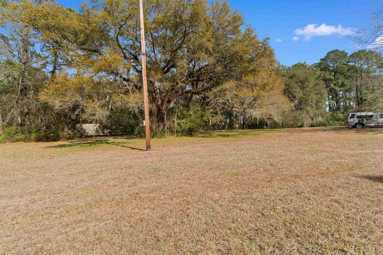 402 Wilkinson St. Photo 35