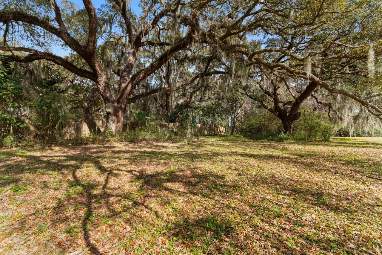 402 Wilkinson St. Photo 38