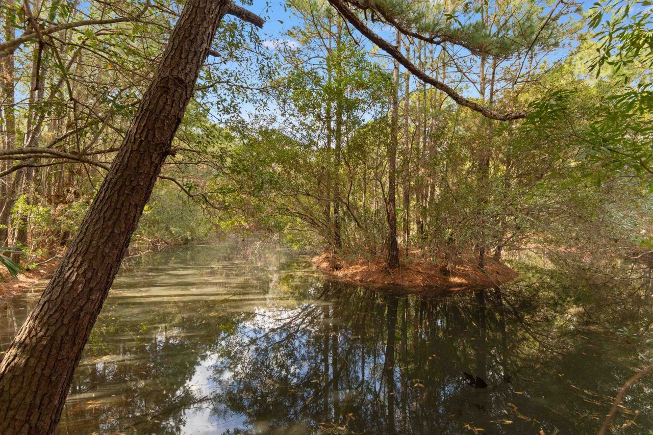 402 Wilkinson St. Photo 39