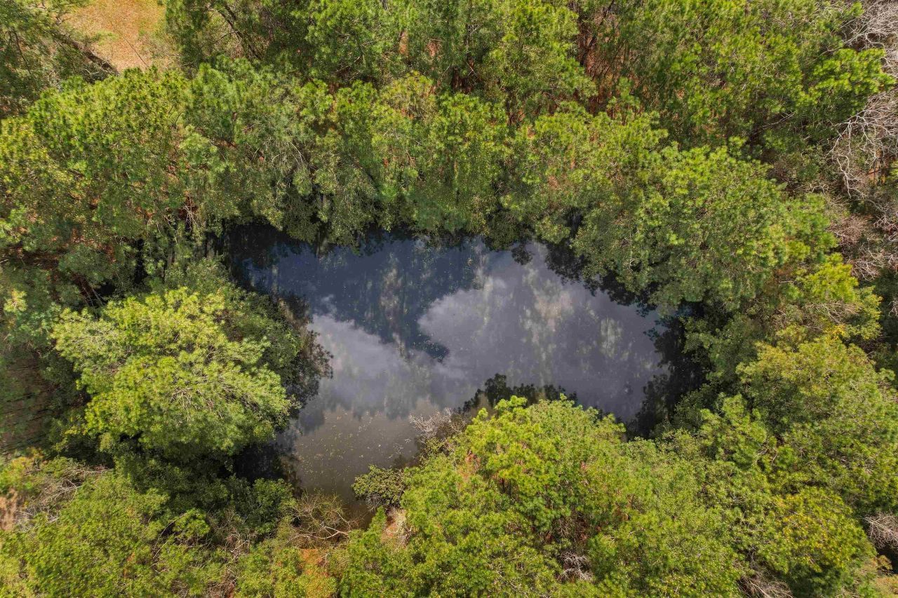 402 Wilkinson St. Photo 40