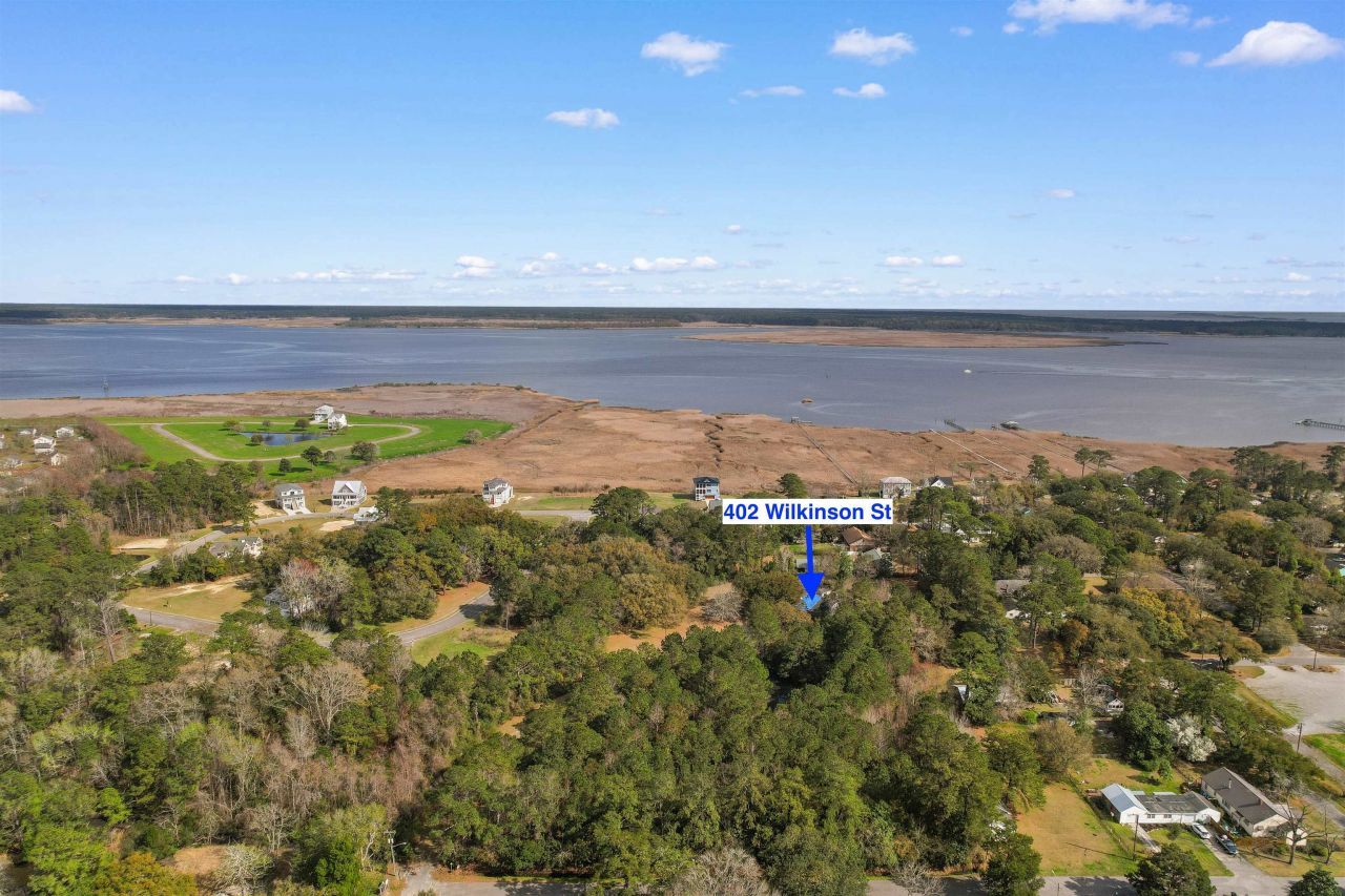 402 Wilkinson St. Photo 41