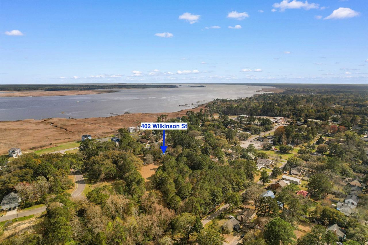 402 Wilkinson St. Photo 42