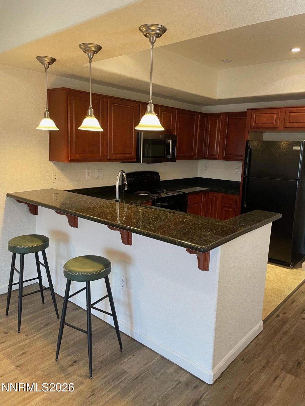 200 W 2nd Street, Unit APT 1506, Reno, NV 89501 Photo