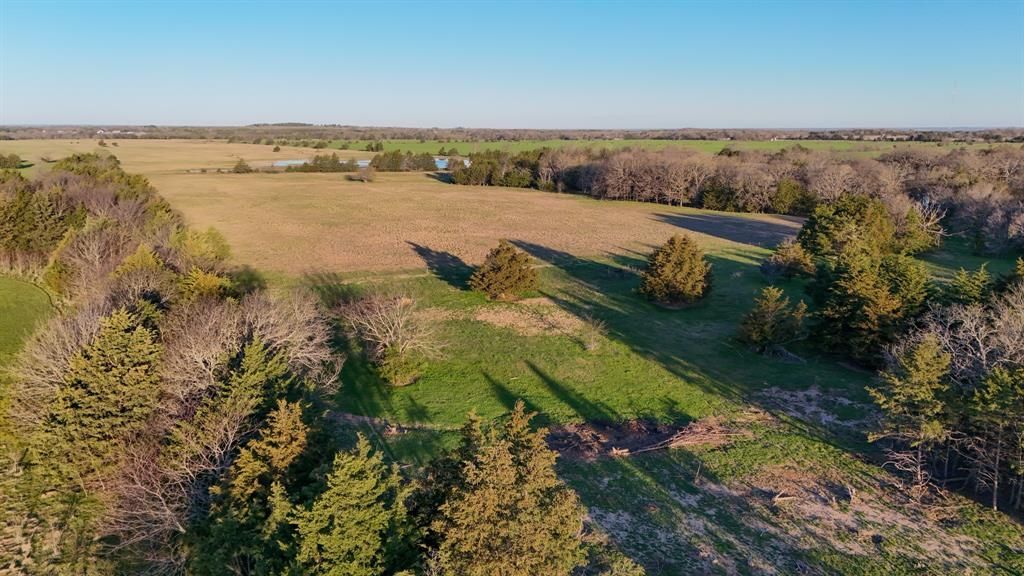 000 Cr-2245, Ivanhoe, TX 75447 Main Photo