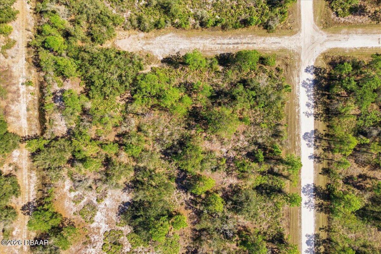 602 Azalea Drive, Lake Wales, FL 33855 Photo