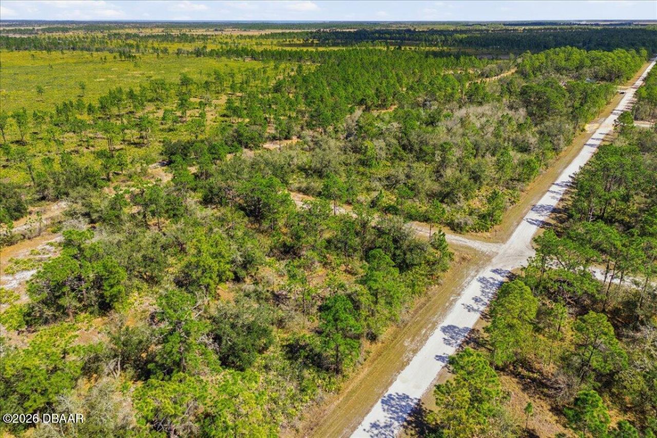 602 Azalea Drive, Lake Wales, FL 33855 Photo