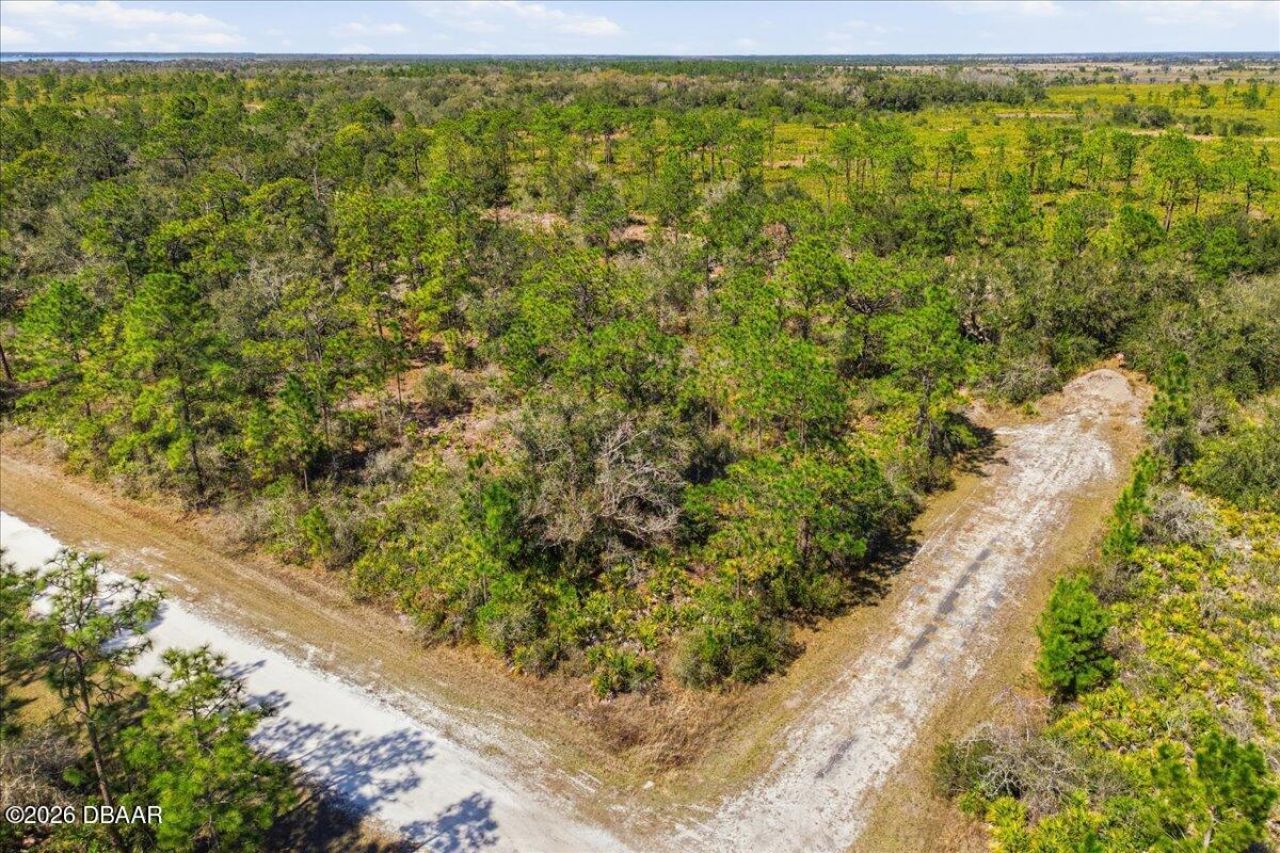 602 Azalea Drive, Lake Wales, FL 33855 Photo