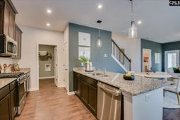 509 Chrome Horse Lane  photo 4