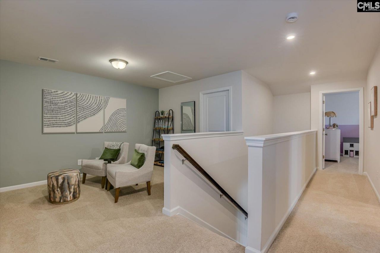 509 Chrome Horse Lane  Photo 23