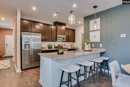 509 Chrome Horse Lane  photo 4