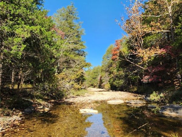 North Of Cr 1088, Mountain Home, AR 72653
