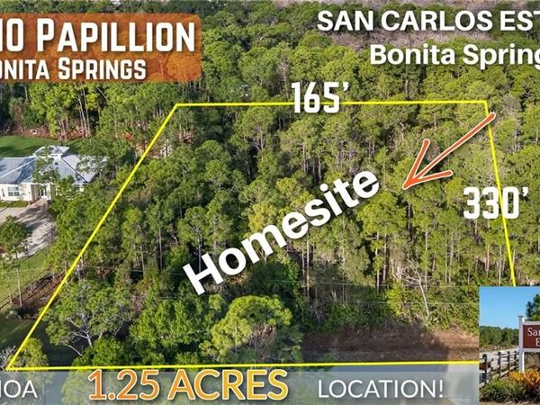 25210 Papillion DR , BONITA SPRINGS, FL 34135