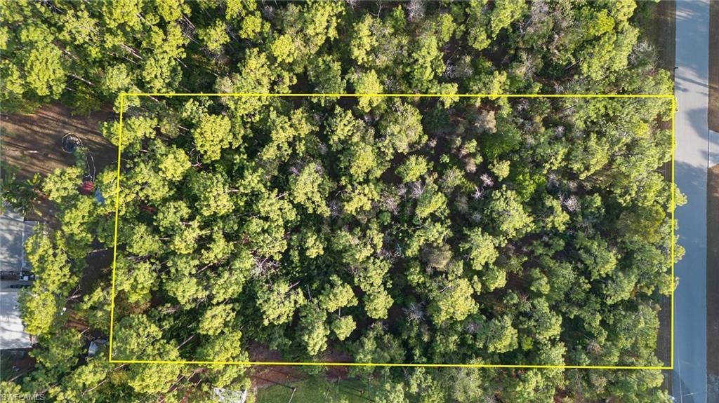 25210 Papillion Dr , Bonita Springs, FL 34135 Photo