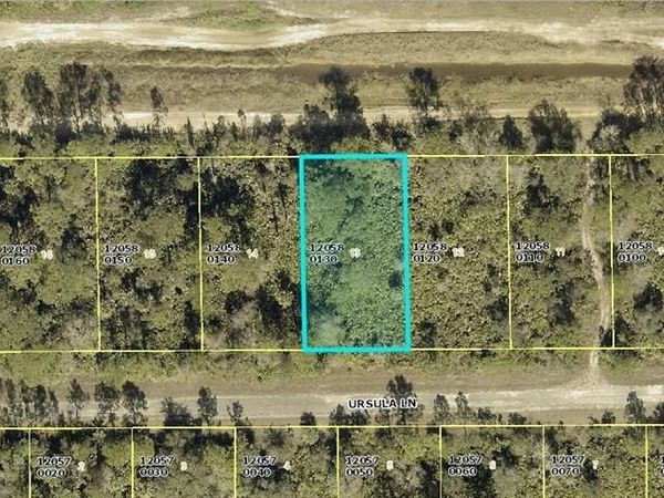 388 Ursula LN , LEHIGH ACRES, FL 33972