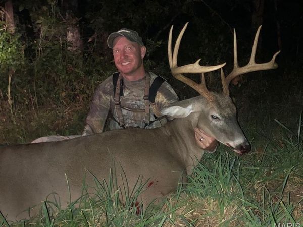 0 Frankfort Dr , Long Lane, MO 65590