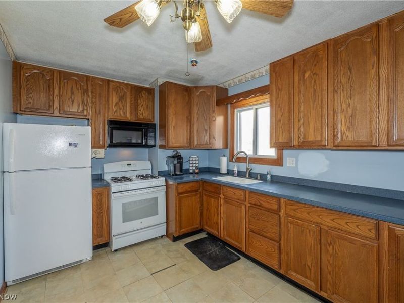 145 Pearl Street , Amherst, OH 44001 Photo 4