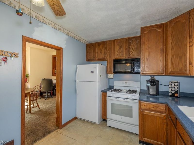 145 Pearl Street , Amherst, OH 44001 Photo 5