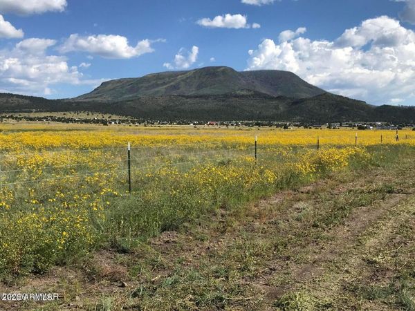 26 N CR 2009, Unit E, Nutrioso, AZ 85932