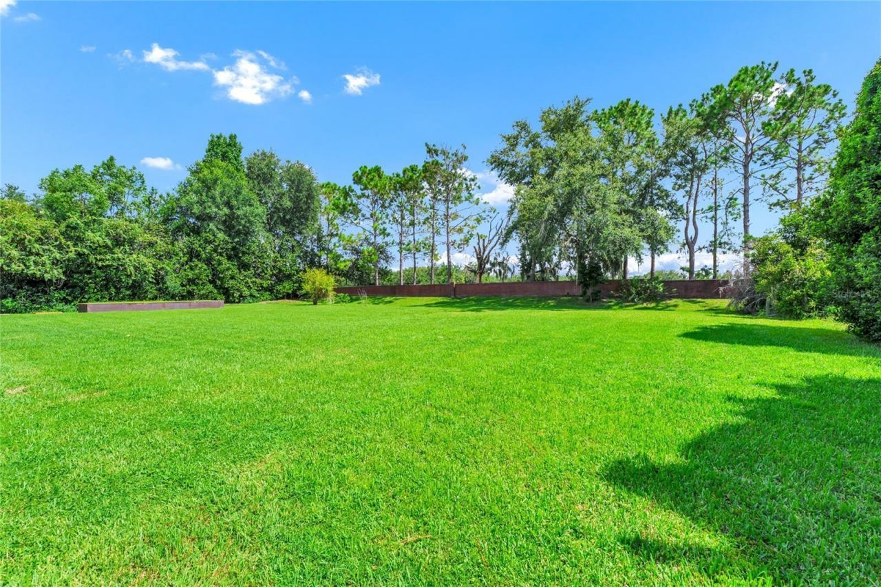 13643 Lake Cawood Drive , Windermere, FL 34786 Photo