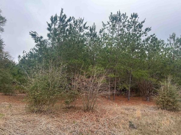 0 S Highway 38 , Blenheim, SC 29516