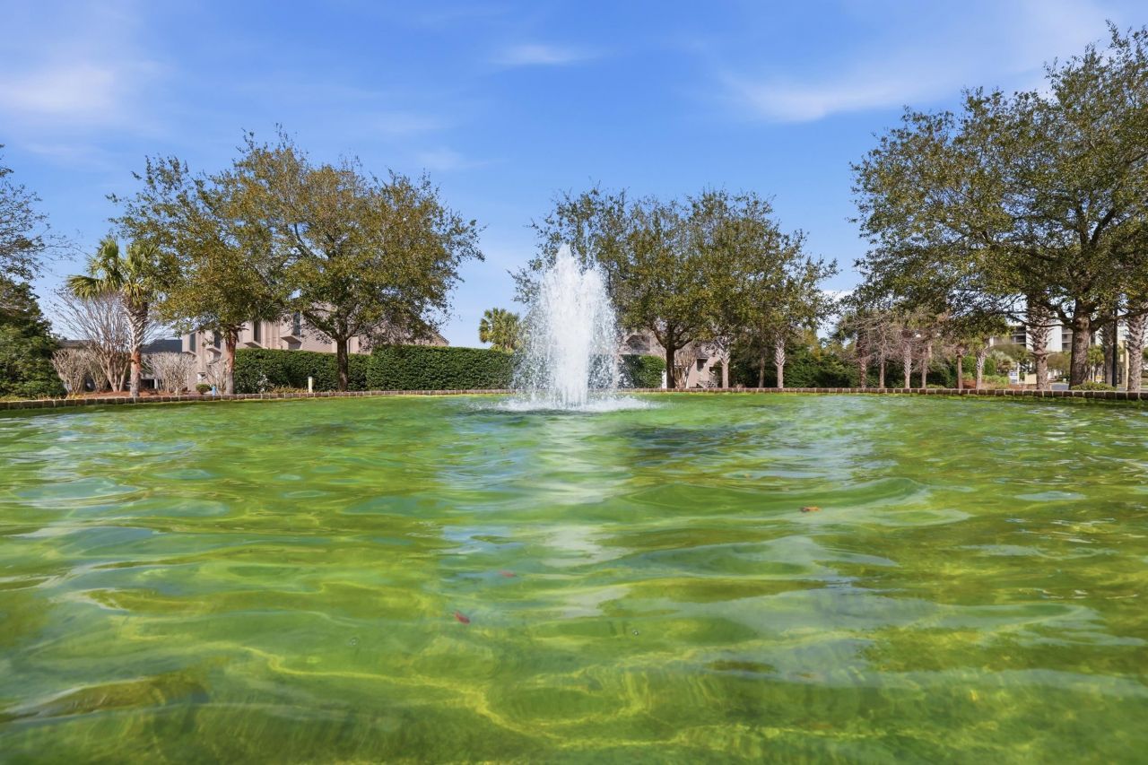 163 Heron Marsh Dr. Photo 70